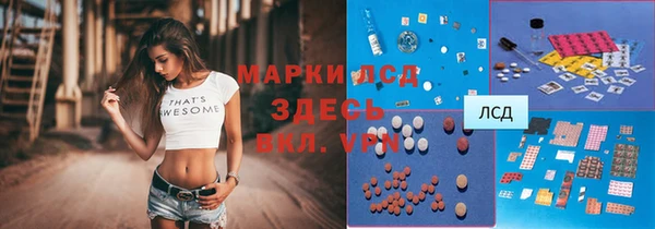 ГАЛЛЮЦИНОГЕННЫЕ ГРИБЫ Снежногорск