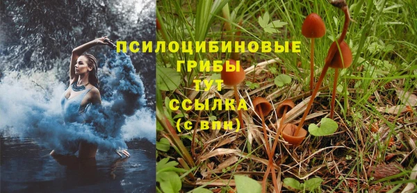 синтетический гашиш Беломорск