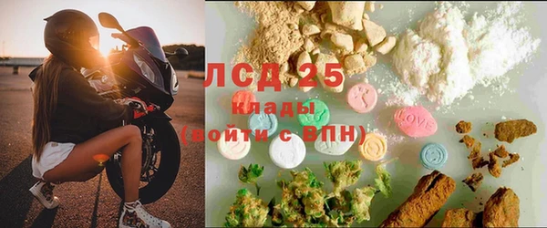 apvp Белокуриха