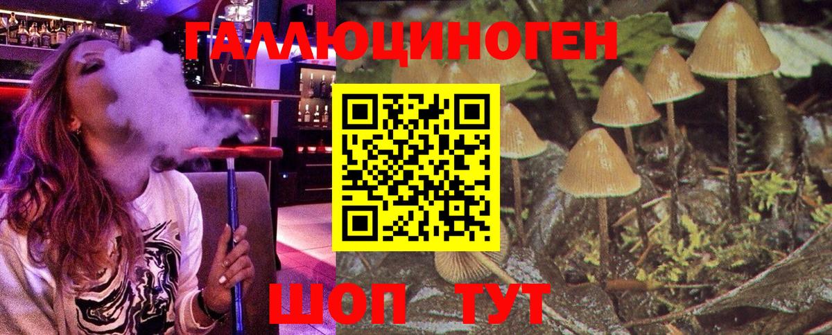 Галлюциногенные грибы мухоморы Печора